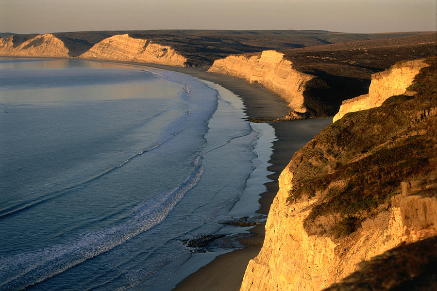 Point Reyes National Seashore Photograph - Drakes Beach And The Cliffs At Sunrise by John Elk Iii