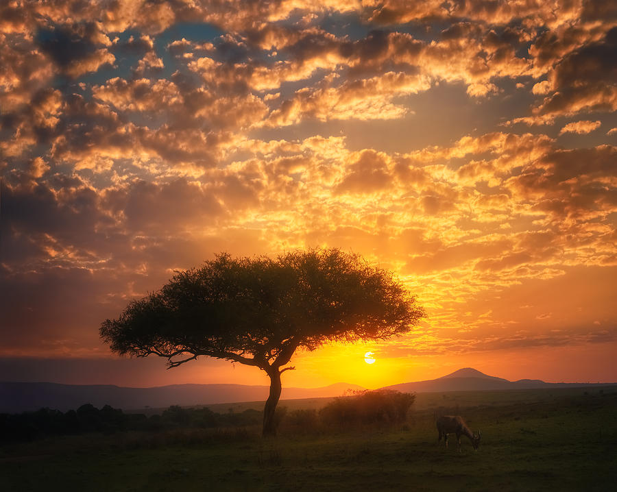 Dramatic African Sunrise A737293 Photograph by Joanaduenas