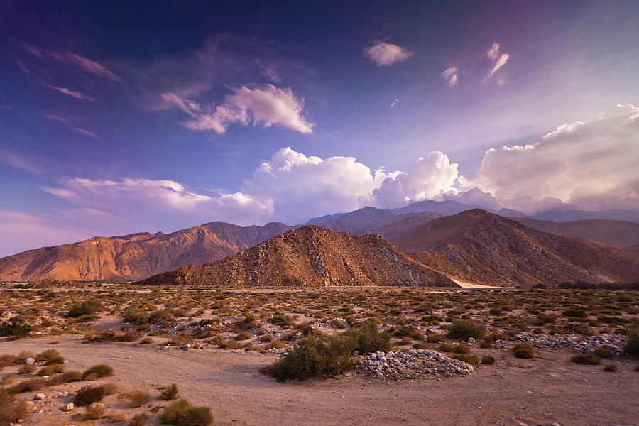 Dramatic Palm Springs Landscape Photograph by Halbergman