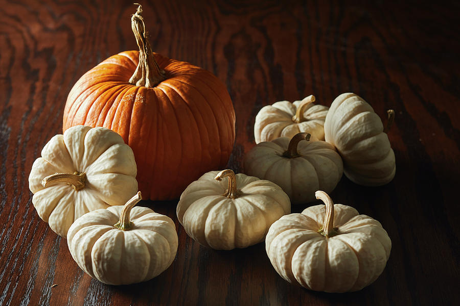 Dramatic Pumpkins Photograph by Cuisine at Home