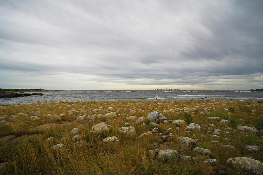 Dramatic Sky Over A Grassy, Stone-strewn Ocean Beach Photograph