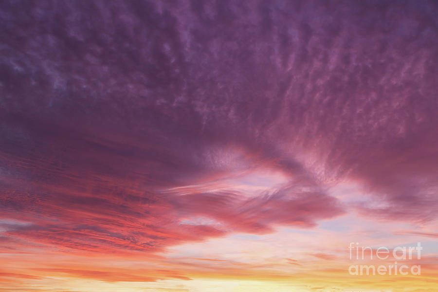 Dramatic sunset pink sky 725 Photograph by Simon Bratt