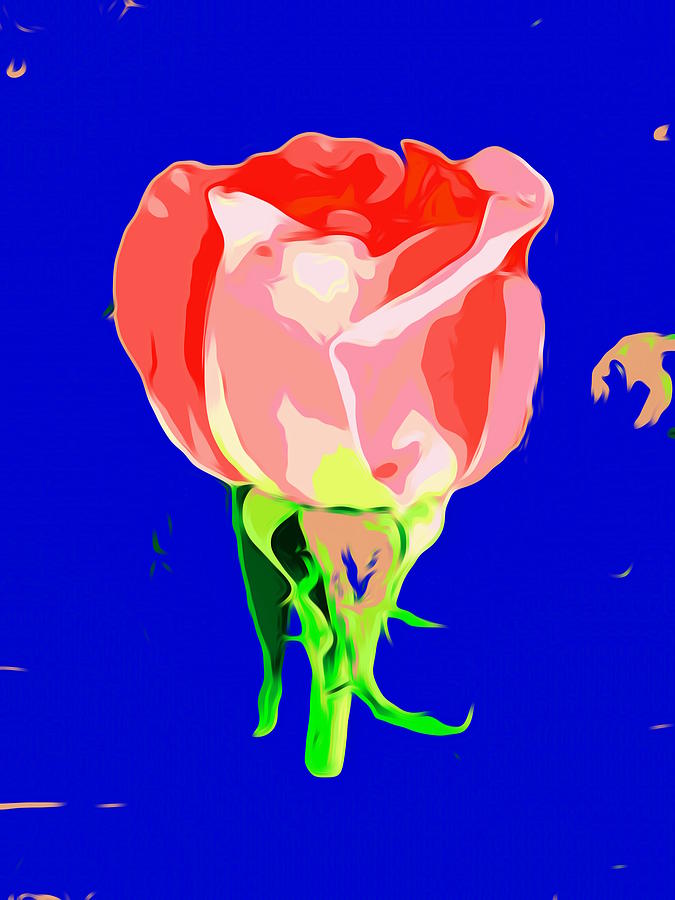 Drawing Red Rose With Dark Blue Background Painting by Tim LA - Fine ...