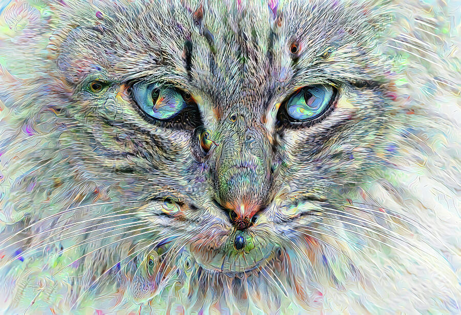 Dream Cat Digital Art by Terry Davis