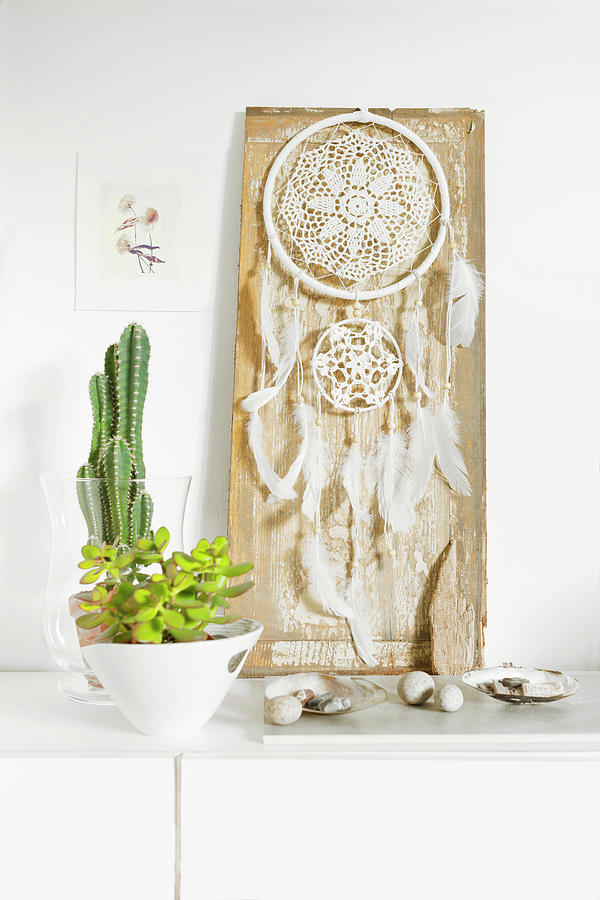 Dream-catcher Made From Doily And Feathers Next To Houseplants Photograph by Sabine Lscher