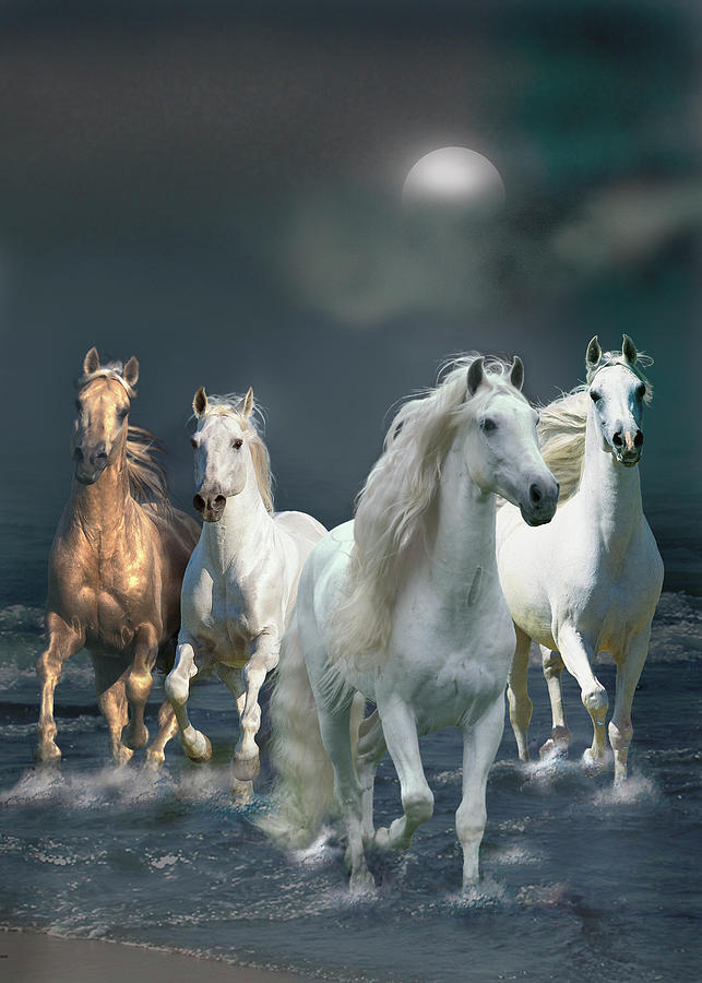 Animal Photograph - Dream Horses 020 by Bob Langrish