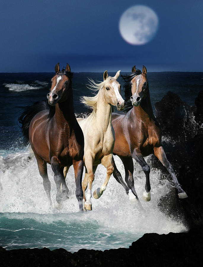 Dream Horses 080 Photograph by Bob Langrish - Fine Art America