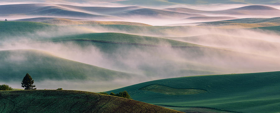 Dream Land In Morning Mist-1 Photograph by ??? / Austin Li