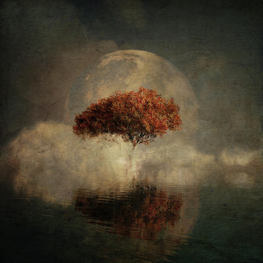 Dream landscape with full moon Digital Art by Jan Keteleer