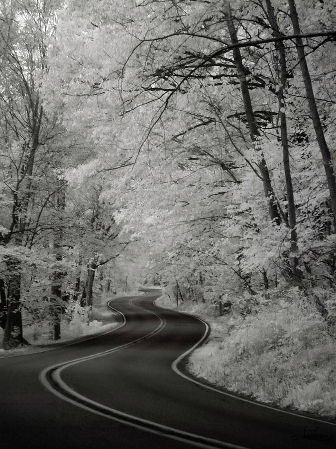 Dream Traveler Photograph by Jill Love Dream Traveler Photograph by Jill Love