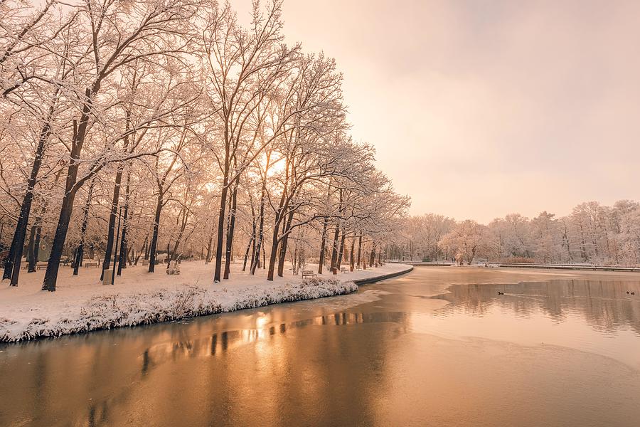 Christmas Photograph - Dream Winter Forest On The River by Levente Bodo