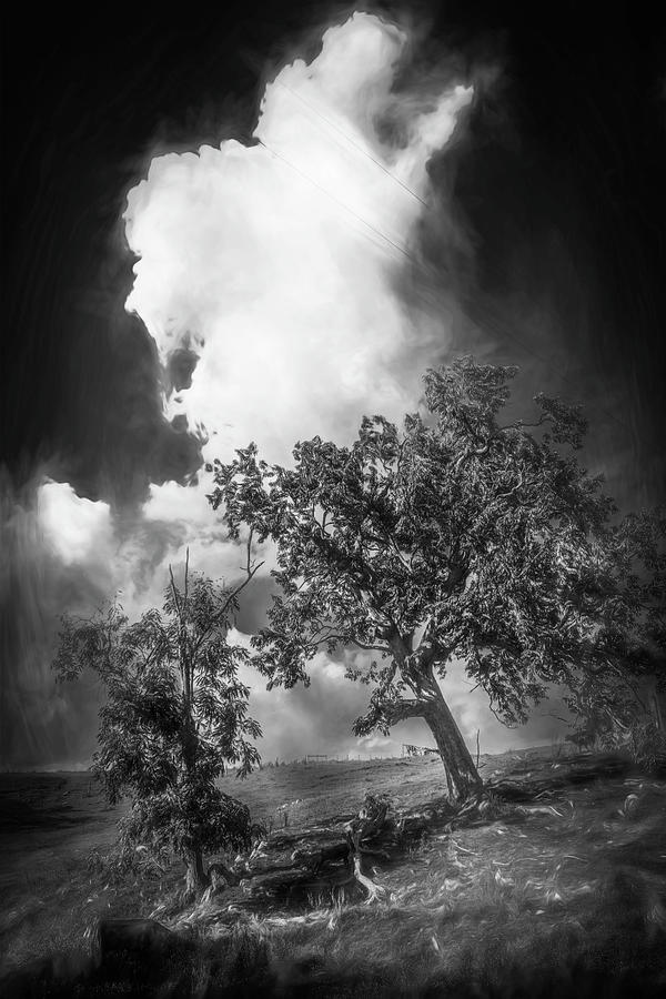 Dreaming In Black And White Photograph by Jim Love Fine Art America