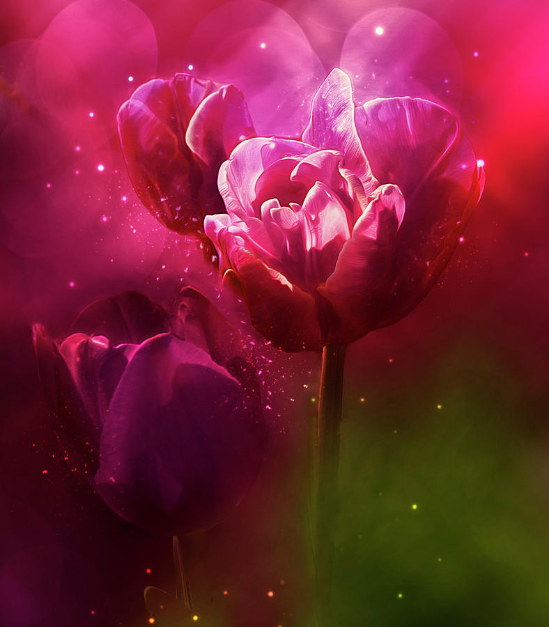 Dreaming of Tulips Digital Art by Doreen Erhardt