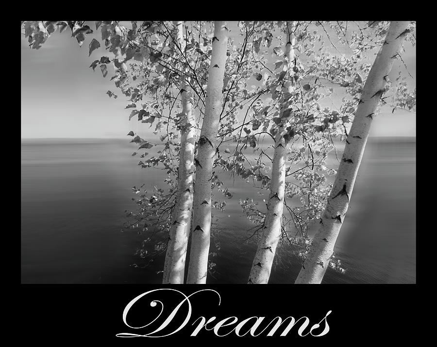 Dreams Art Birch Trees on the Lake in Black and White Photograph by Debra and Dave Vanderlaan