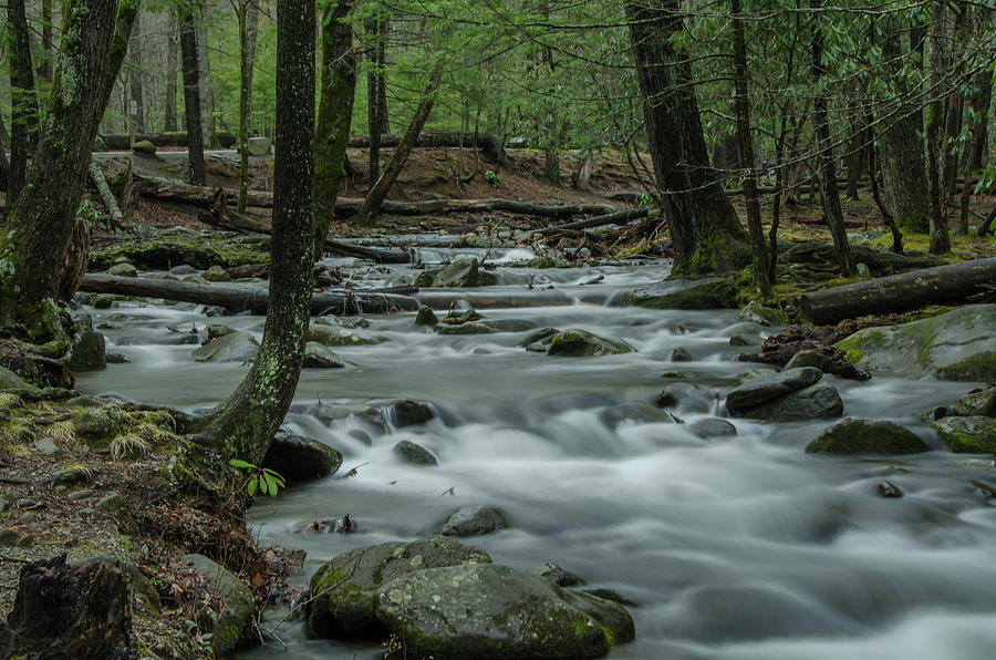 Dreams of Abrams Creek Photograph by Douglas Wielfaert