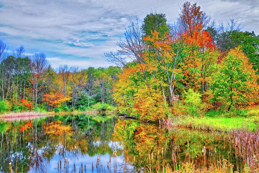 Dreams of Fall in the Finger Lakes Photograph by Lynn Bauer - Fine Art ...