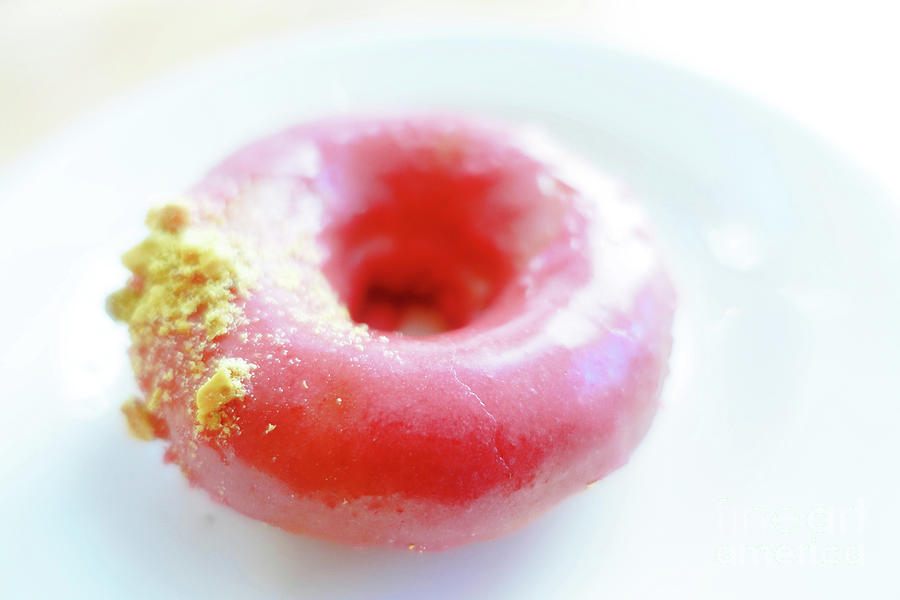 Dreamy Donut Photograph by Edward Fielding