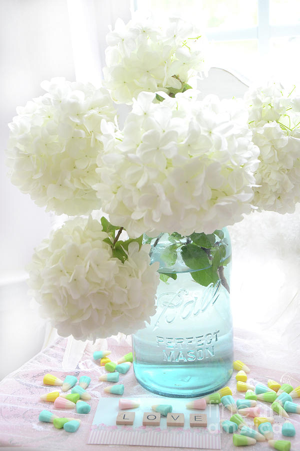 Dreamy Ethereal White Hydrangea Flowers in Aqua Blue Mason Jar - Shabby Chic Hydrangeas Floral Print Photograph by Kathy Fornal