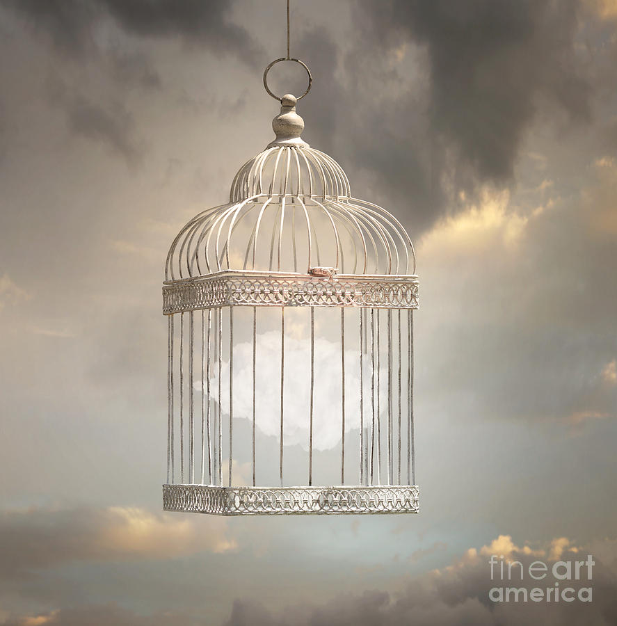 Concept Photograph - Dreamy Image That Represent A Cloud by Valentina Photos Concept Photograph - Dreamy Image That Represent A Cloud by Valentina Photos