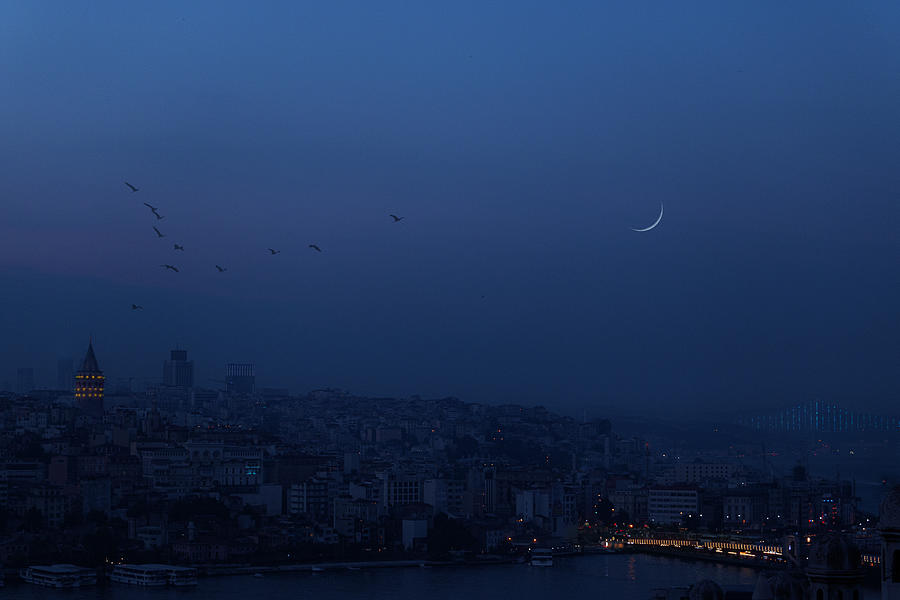 Bird Photograph - Dreamy Istanbul by Behnam Khoshbaten