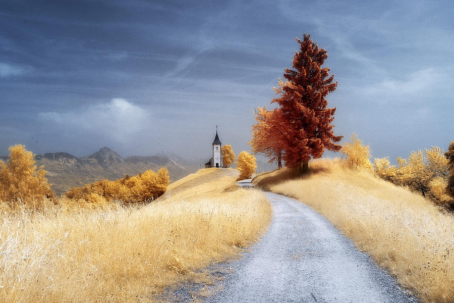 Dreamy Landscape Photograph by Filippo Manini
