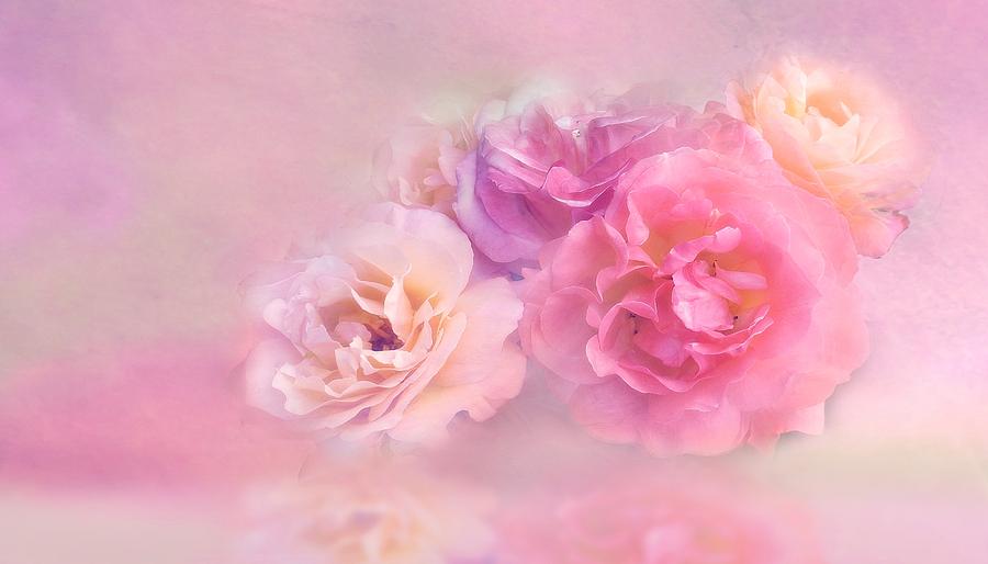 Dreamy Pastel Roses by Shabby Chic and Vintage Art