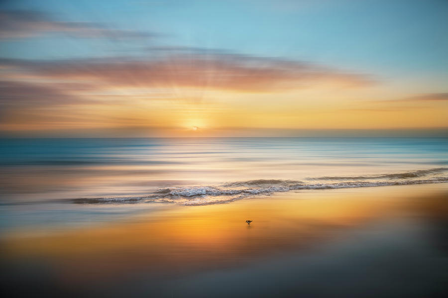 Beach Photograph - Dreamy Sandpiper Sunrise  by Debra and Dave Vanderlaan