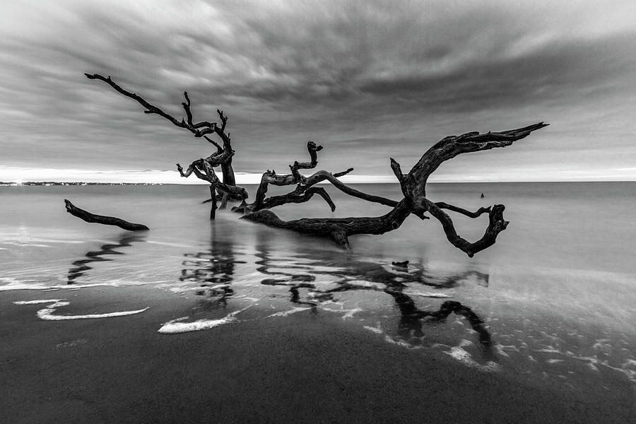 Dreamy Tide in Black and White Photograph by Debra and Dave Vanderlaan