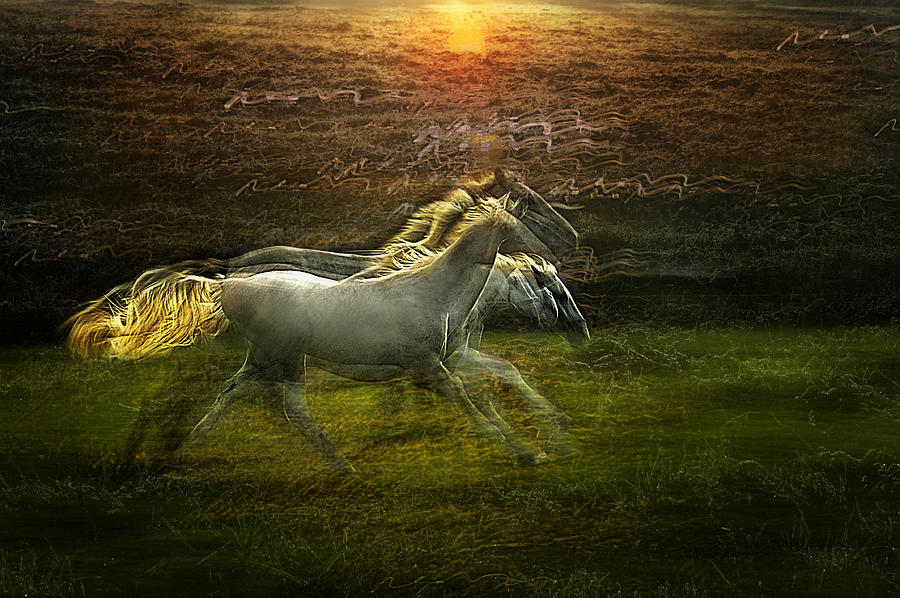Horse Photograph - Dreamy Way by Milan Malovrh