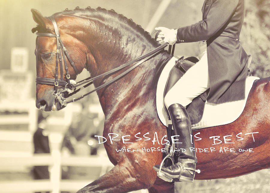 DRESSAGE BEST quote Photograph by JAMART Photography