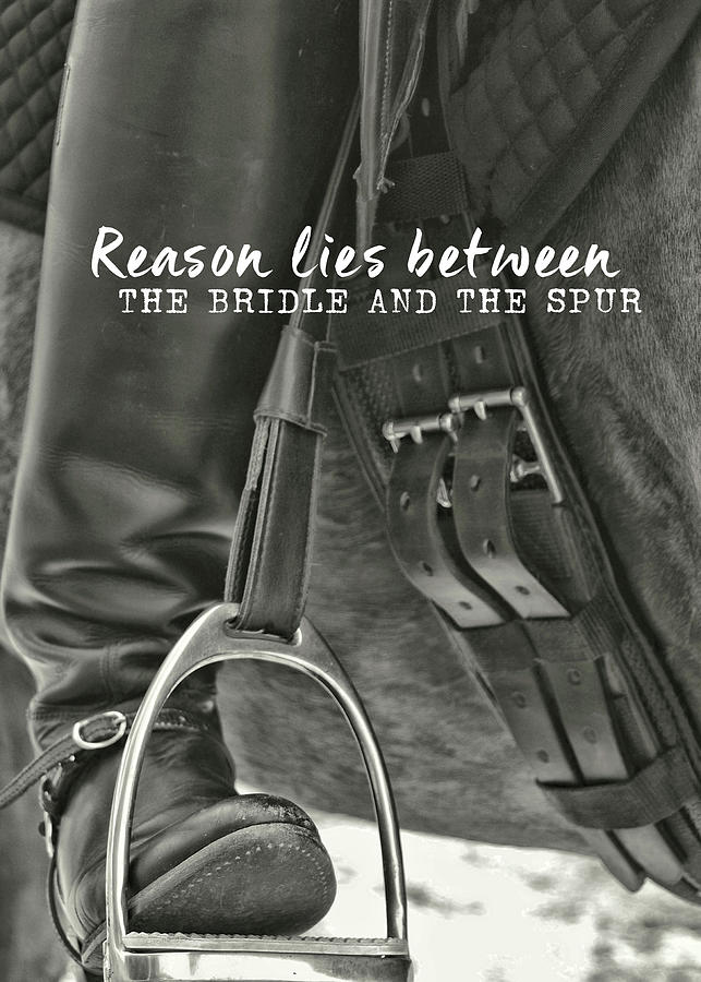 DRESSAGE IRONS quote Photograph by Dressage Design