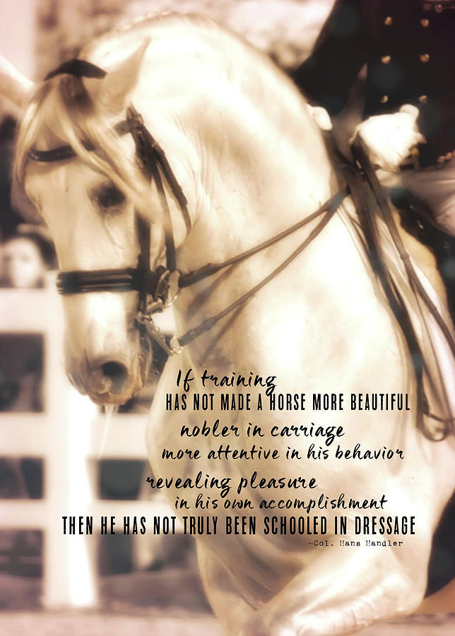 DRESSAGE PERFECTION quote Photograph by JAMART Photography