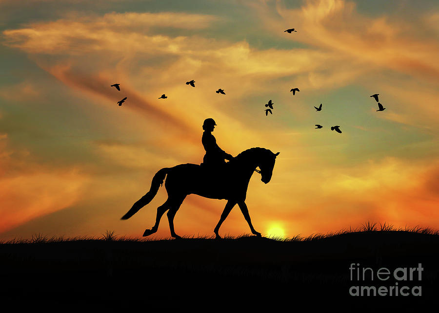 Dressage Rider and Horse at Sunset With Birds Photograph by Stephanie Laird