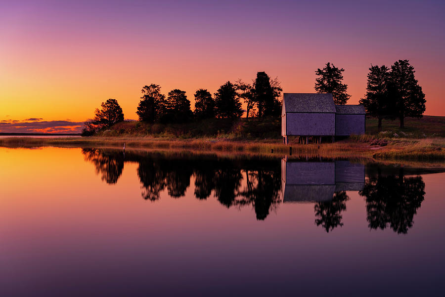 Boat House Photograph - Dressed In Pink by Michael Blanchette Photography