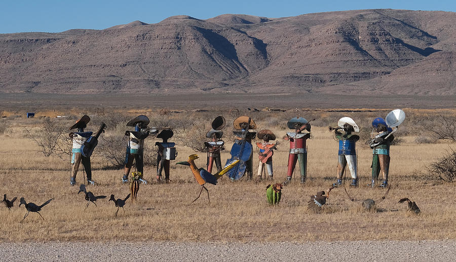 Dressing Up The Desert Photograph by Sydney Harter