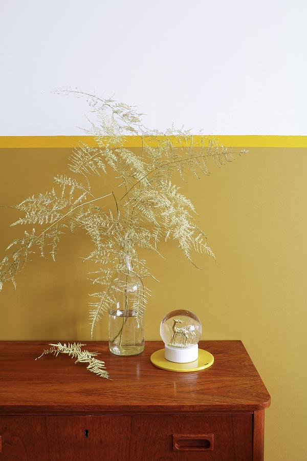 Dried Asparagus Fern In Glass Bottle Against Two-tone Wall Photograph by Marij Hessel