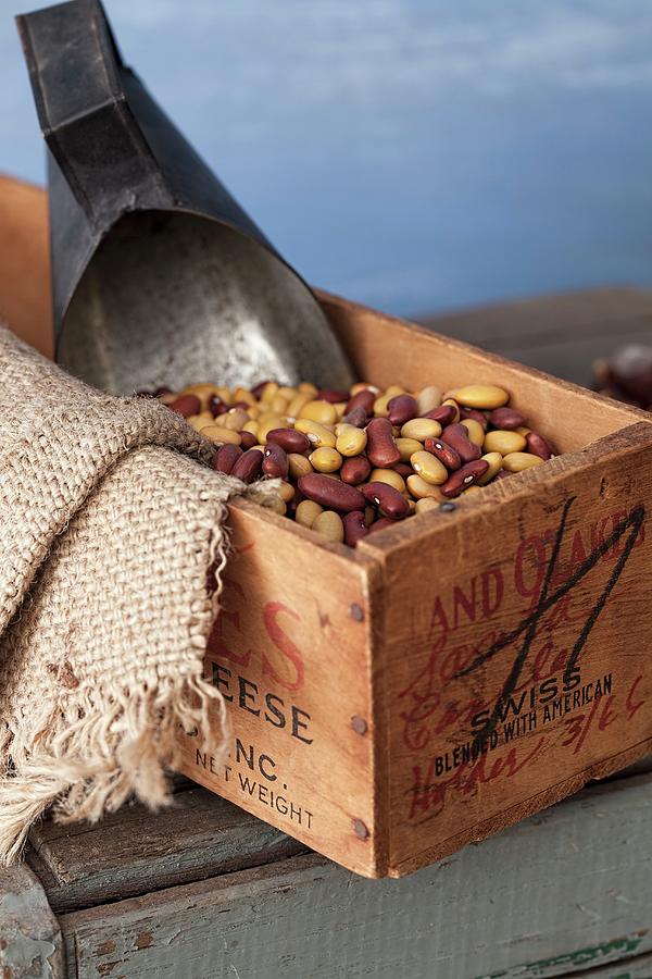 Dried Beans In A Wooden Box With A Scoop Photograph by Yelena Strokin