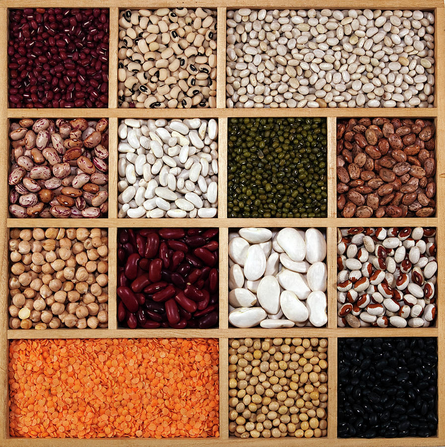 Dried Beans Photograph by Lisa Stokes