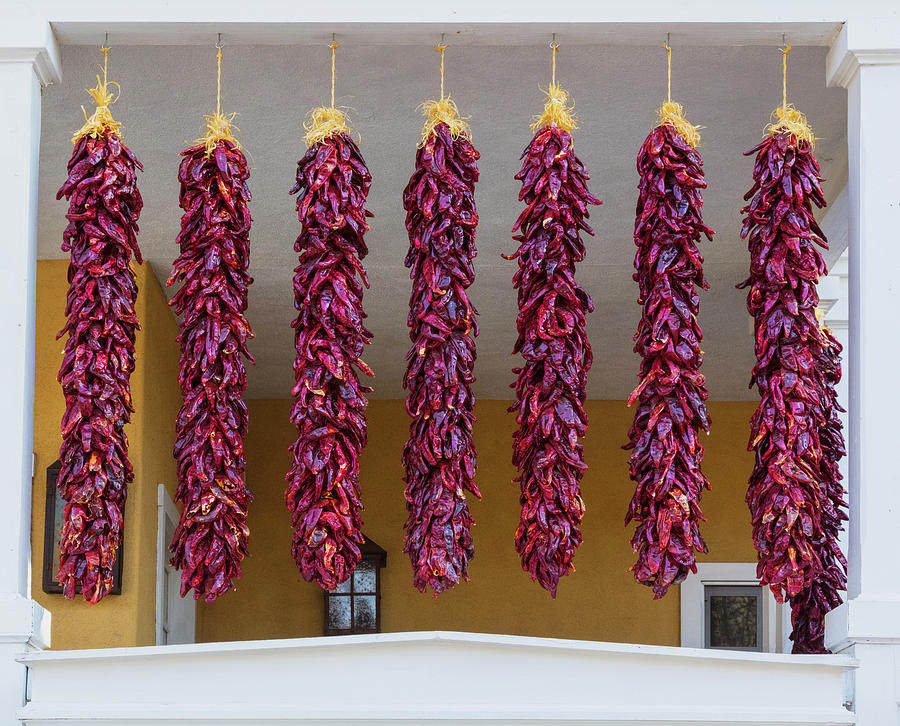 Dried Bunches Of Chilies Reflect Photograph by Panoramic Images