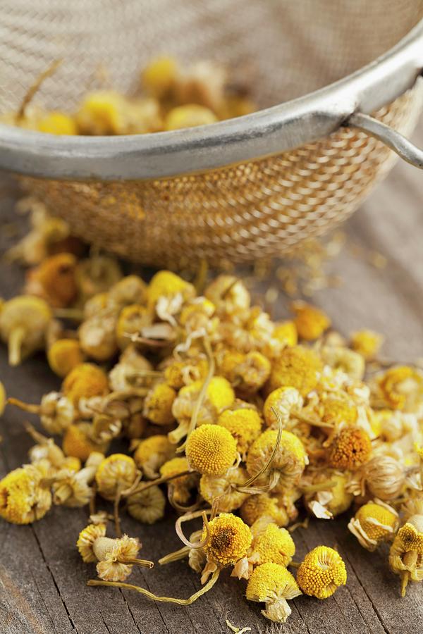 Dried Camomile Flowers In A Tea Strainer And Next To It Photograph by Shawn Hempel