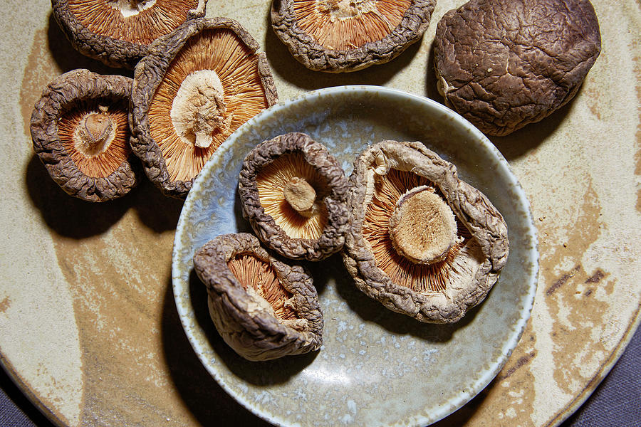 Dried Crimini Mushrooms Photograph by Shell Royster | Fine Art America