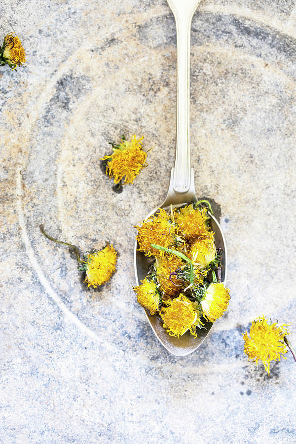 Dried Dandelion Flowers On A Spoon Photograph by Sabine Lscher
