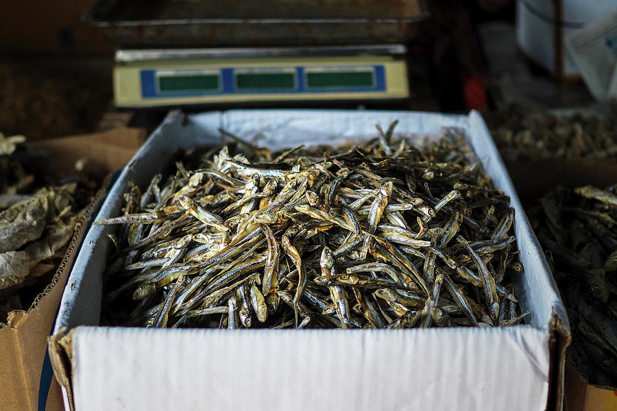 Dried Fish In Boxes At A Market In Sri Lanka Photograph by Lara Jane Thorpe