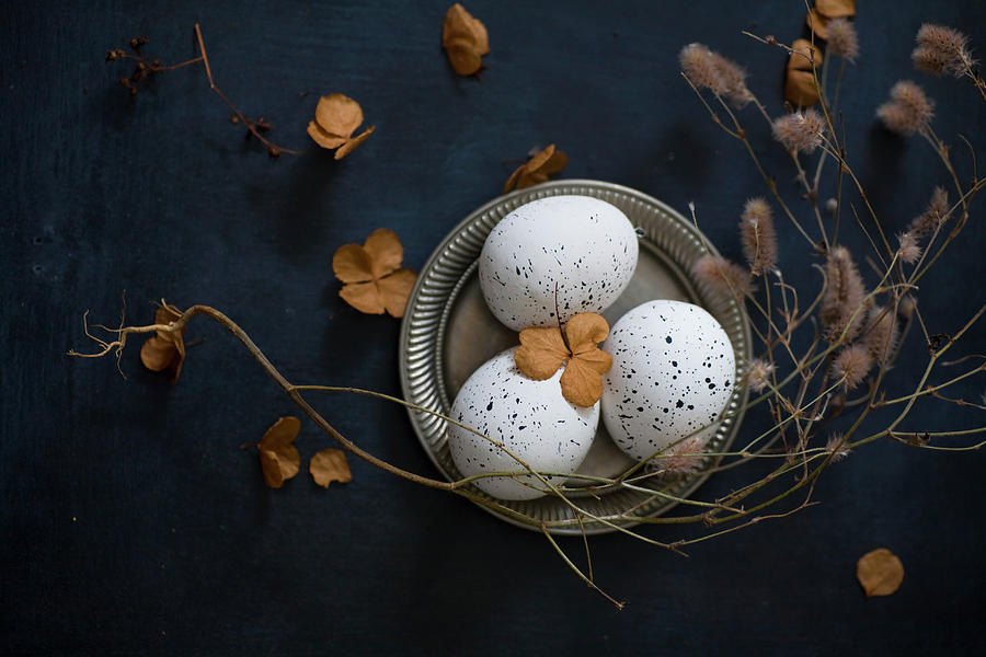 Dried Flowers Around Speckled Eggs On Pewter Plate Photograph by Alicja Koll