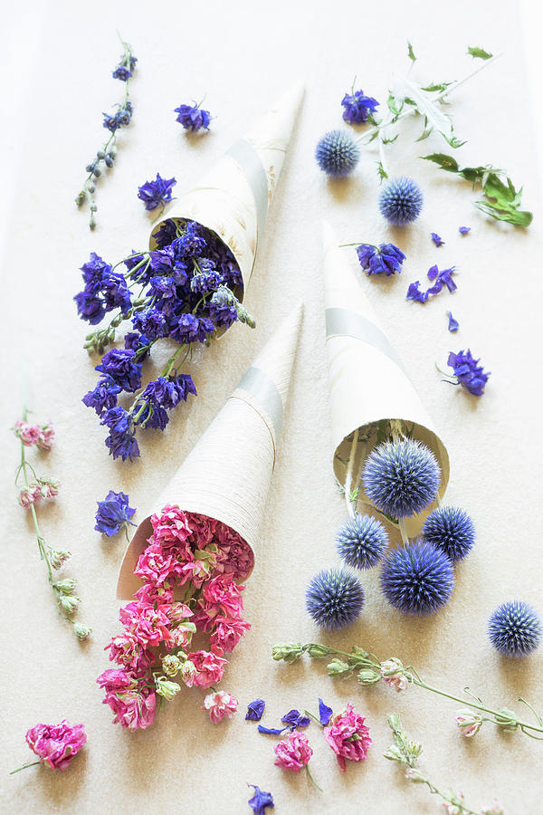 Dried Flowers In Paper Cones Photograph by Sabine Lscher