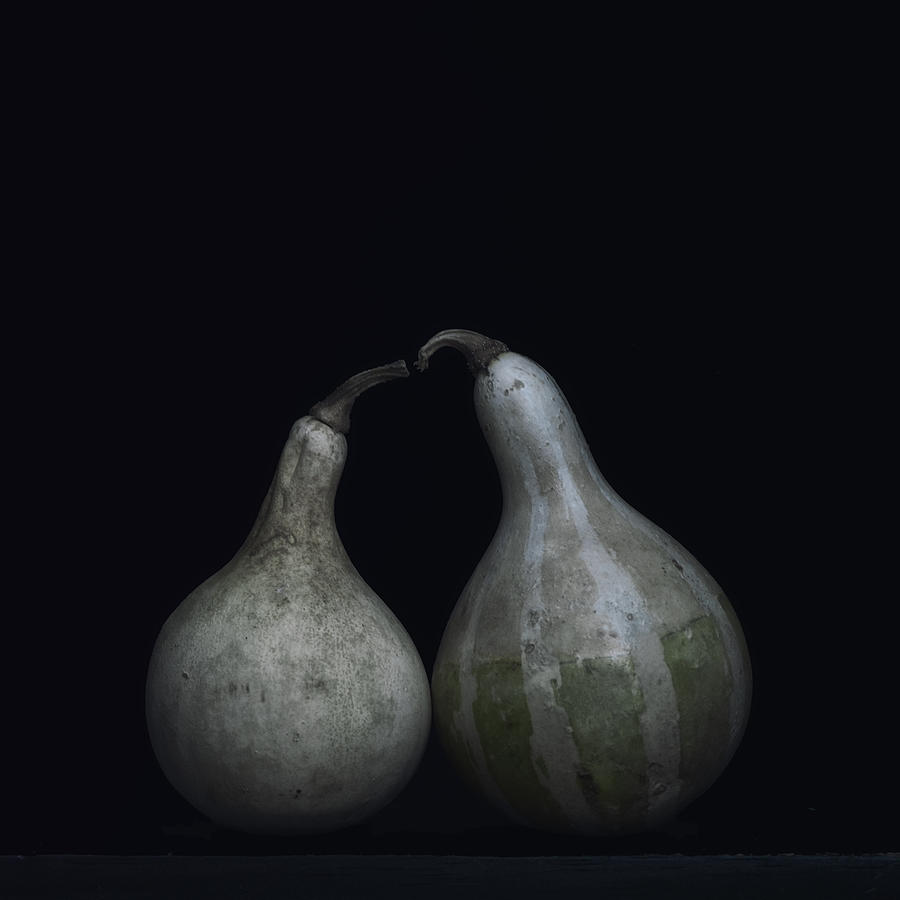 Dried Gourds Photograph by Lotte Grønkjær