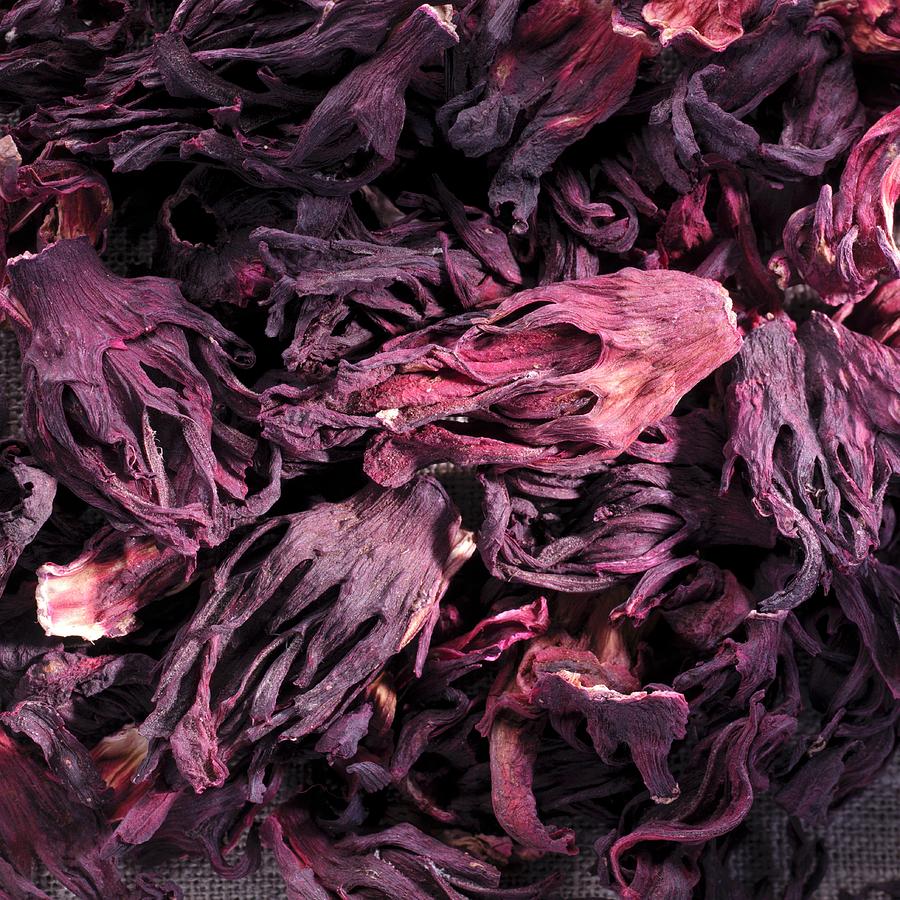 Dried Hibiscus Flowers, Full Frame Photograph by Feig & Feig