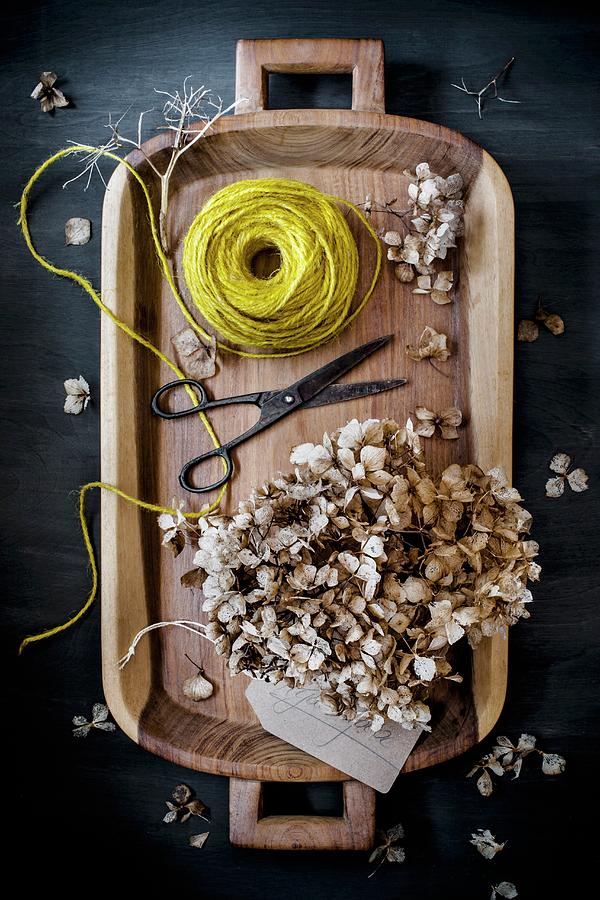 Dried Hydrangeas, String And Scissors On Wooden Tray Photograph by Magdalena Hendey
