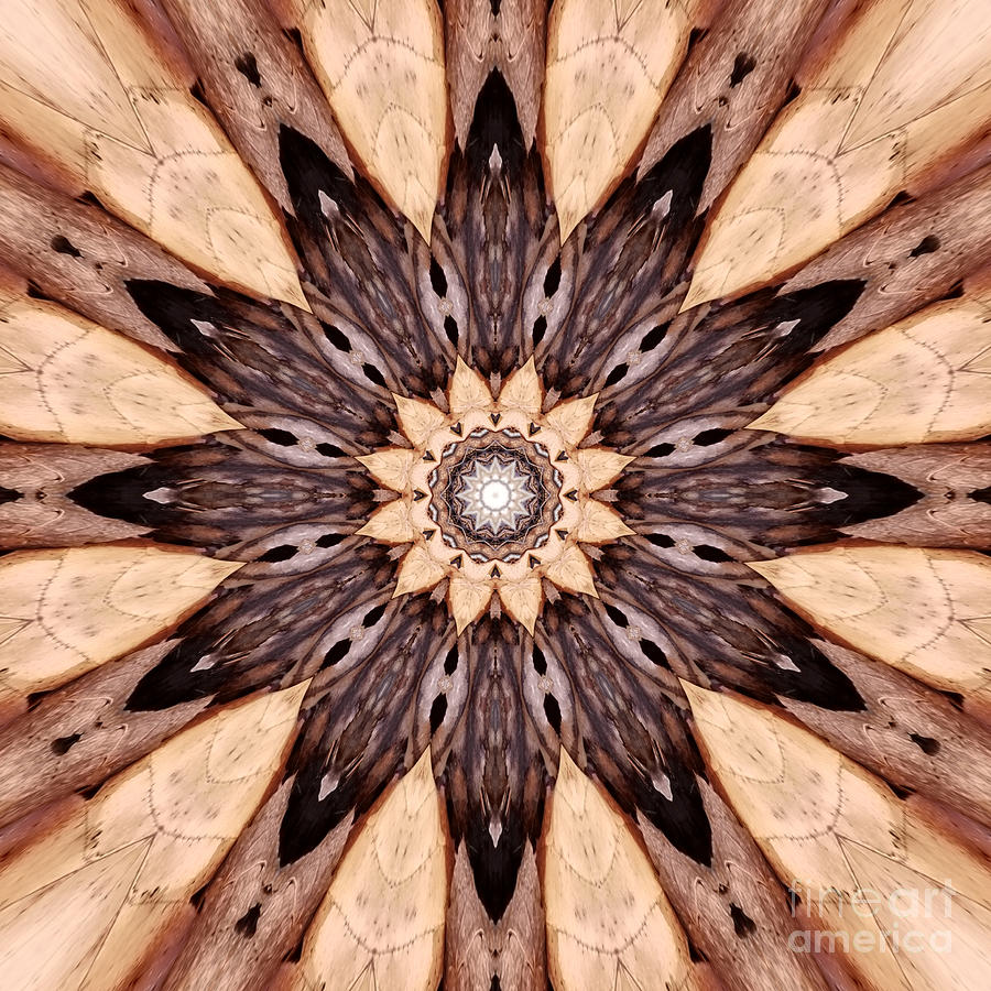 Dried Leaves Mandala Digital Art by Rachel Hannah
