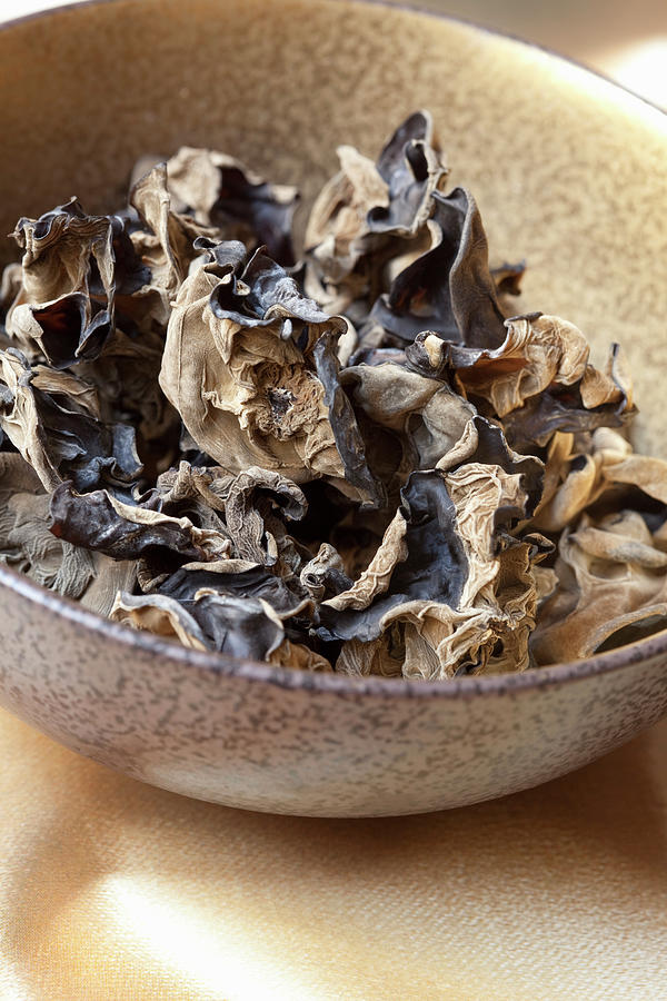 Dried Mushrooms Photograph by Hilde Mche